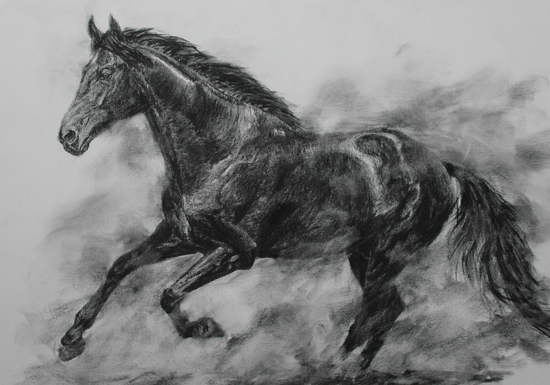 Charcoal Sketching