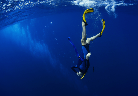PADI Free Diving Course