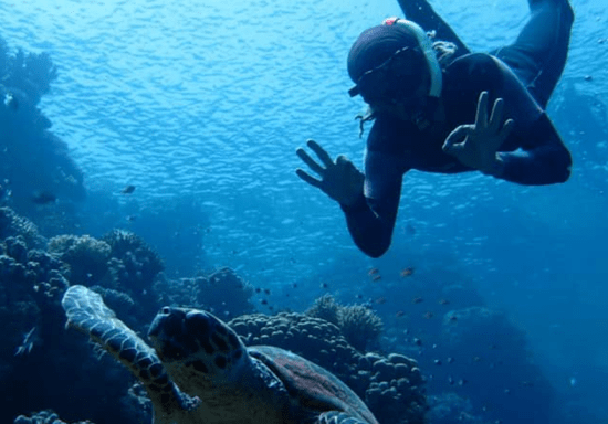 SDI Open Water Diving