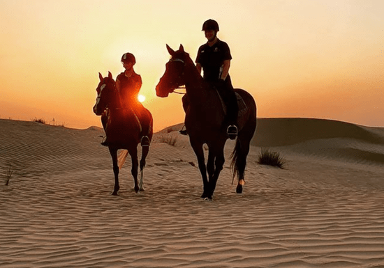 Sunset Desert Horse Riding Experience
