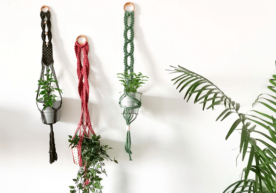 Macrame Plant Hanger Workshop