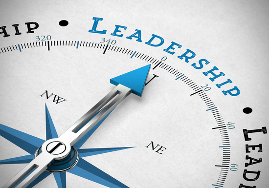Leadership Counseling