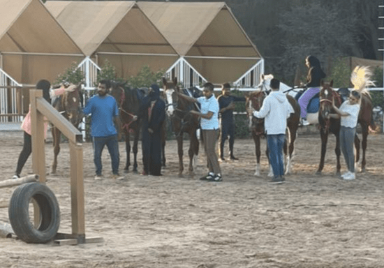 Show Jumping Horse-Riding Class