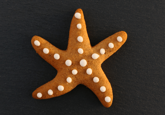 Mini Chef: Little Cookie Monster