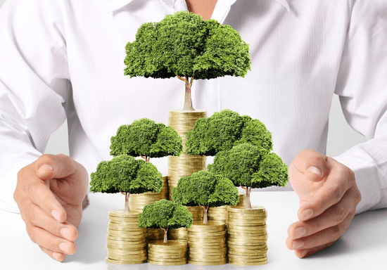 Money Flow Masterclass