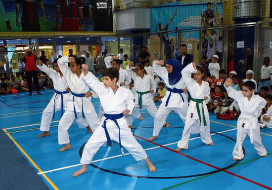 Learn the Art of Karate - Ages: 5-20
