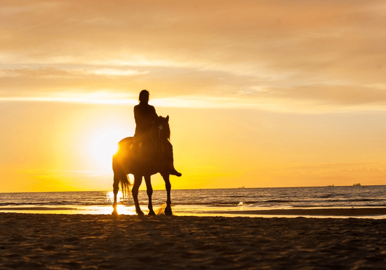 Horse Riding on the Beach