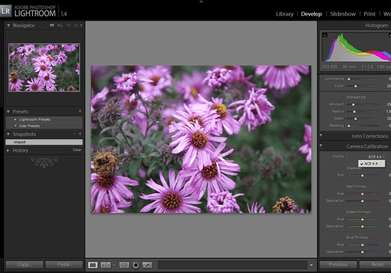 Adobe Lightroom 101