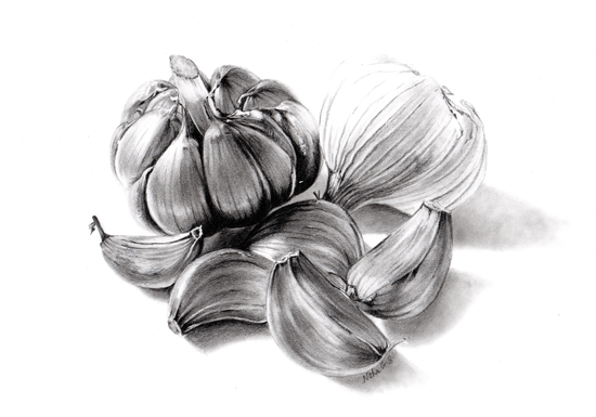 Online Class: Graphite & Charcoal Drawing