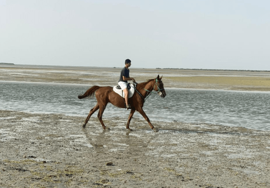 Horse Riding On The Beach