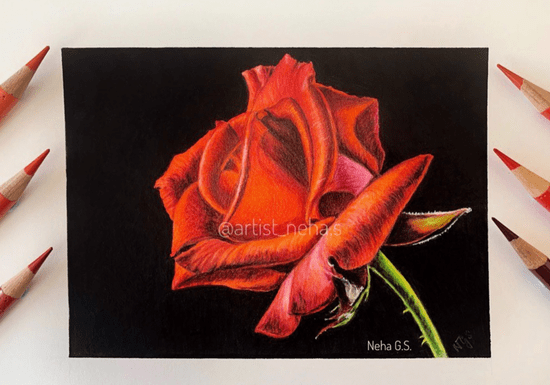 Online Class: Drawing with Colored Pencils for Beginners