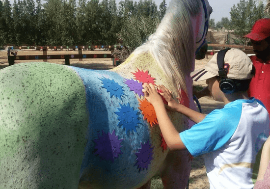 Horse Riding - Rehab & Training For Special Needs - Ages: 6+