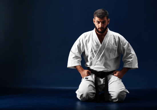Private Karate or Kickboxing Classes