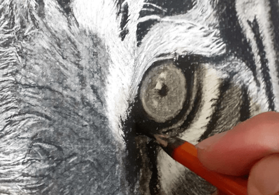 Online Class: Charcoal Drawing with Mustafa