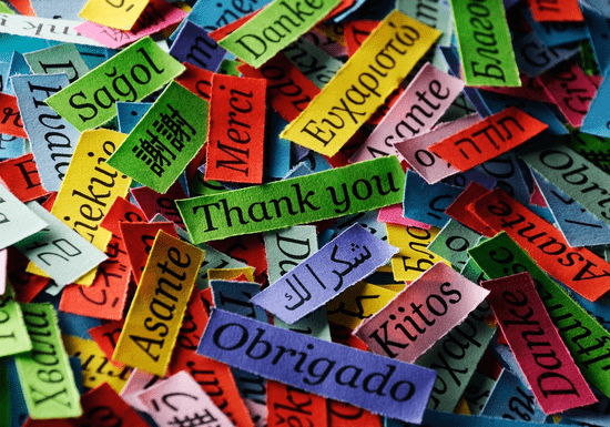 Learn Any Language with a Native Speaker (Private Lessons)