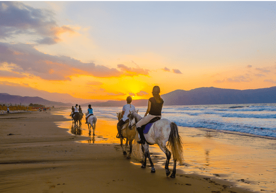 Beach Horseback Riding Experience (Umm Al Quwain)
