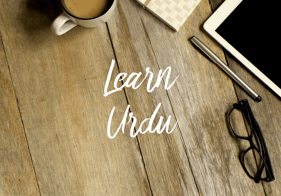 Private Urdu Lessons with a Native Speaker
