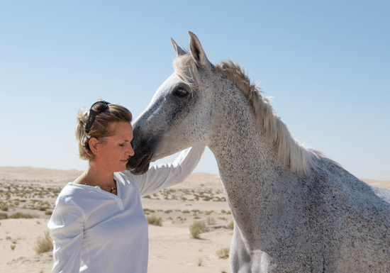 Leading through Uncertainty with Horses