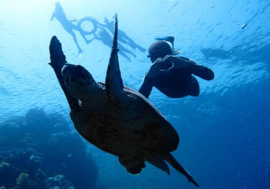 SSI Open Water Diving