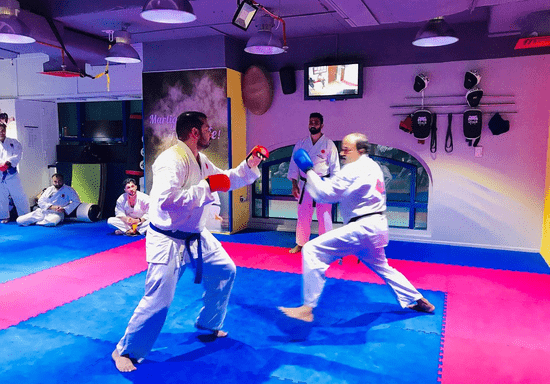 Adult Kickboxing Mixed Class (Khalifa City)