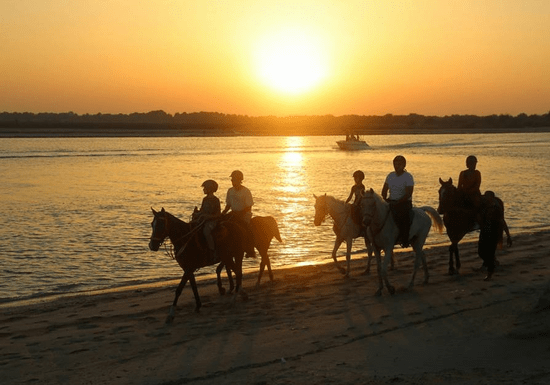 Horse Riding Nights & BBQ by the Beach