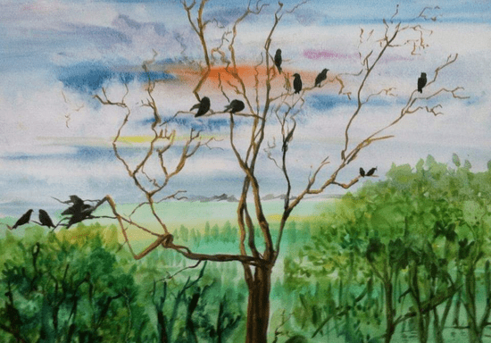 Art Classes: Sketch & Paint with Pragya