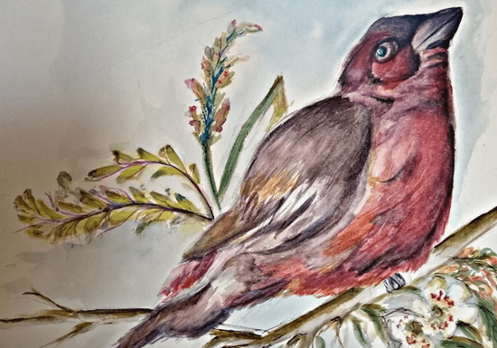 Private Watercolor Painting Classes