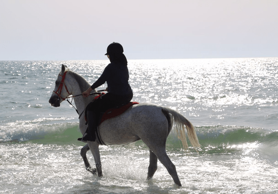 Beach Horse Riding Experience for Ladies (Al Hamriyah - Sharjah)