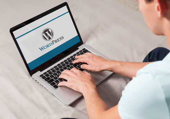 WordPress for Creating Blogs & Websites