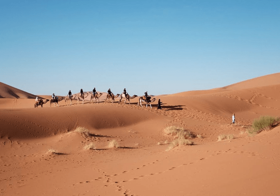 Desert Camel Riding