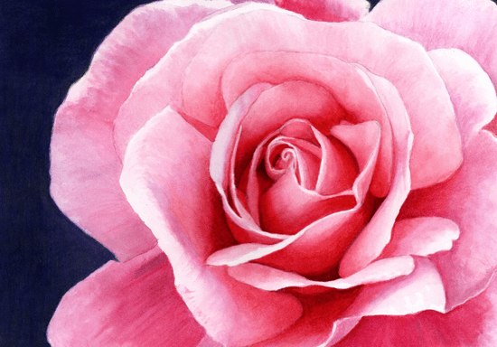 Online Class: Crash Course with Watercolor Pencils