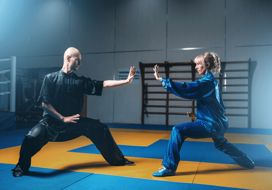 Private Kung Fu Training