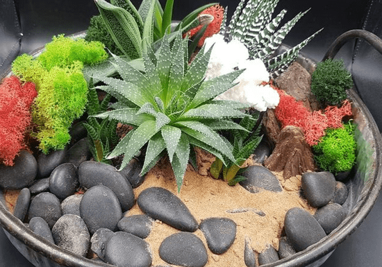 Garden in a Glass: DIY Terrarium Masterclass