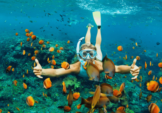 Snorkeling Trip & BBQ (Fujairah)