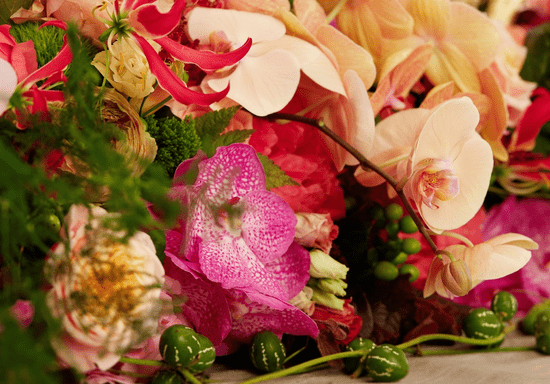 Photo of