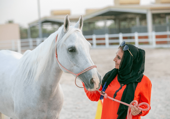 1-on-1 Horse-Guided Empowerment