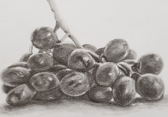 Online Class: Basics of Pencil Shading - Ages: 12+