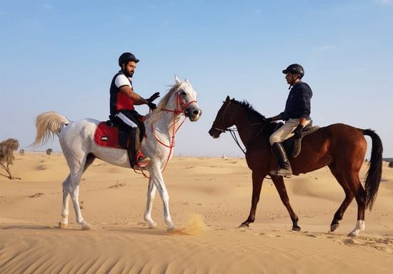 Desert Horseback Riding Experience